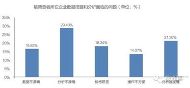 中国大数据产业发展前景与投资规划分析 数据处理服务的机遇与挑战